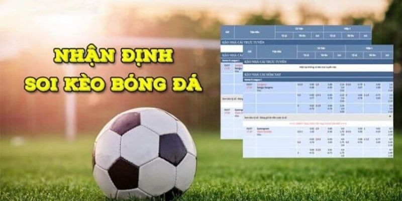 Tin tức: Freiburg - Dự đoán Freiburg-Augsburg Tin tức: Freiburg - Dự đoán Freiburg-Augsburg