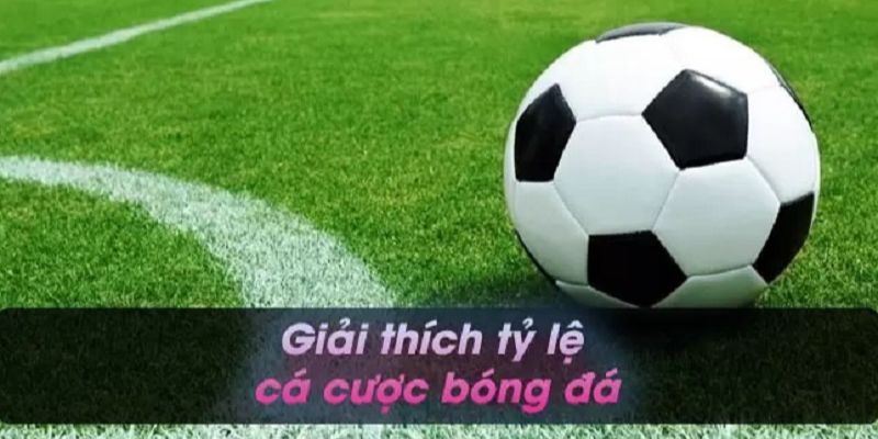 Bayern München - Dự đoán VfL Wolfsburg-Bayern Munich Bayern München - Dự đoán VfL Wolfsburg-Bayern Munich