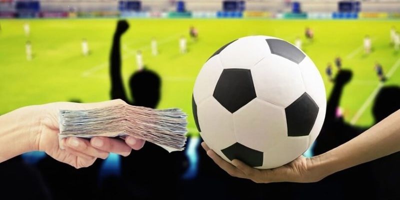 Tham gia chương trình rinh ngay tiền thưởng mới nhất năm 2024